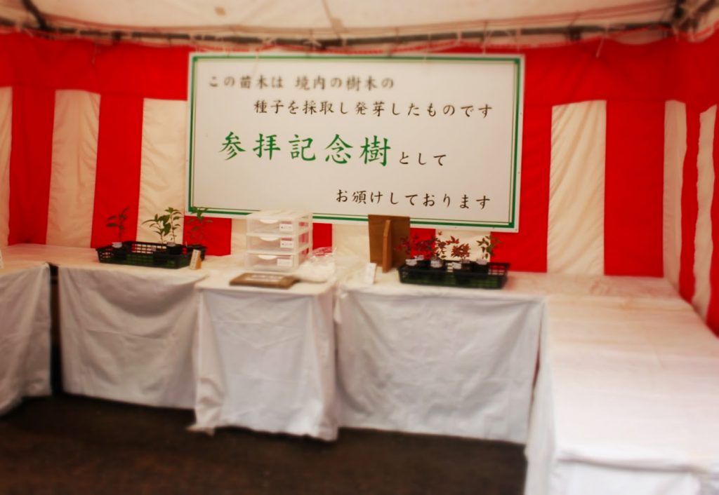 IMG_9618
