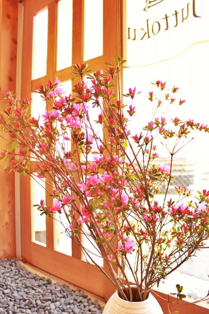写真 2014-04-11 14 15 33