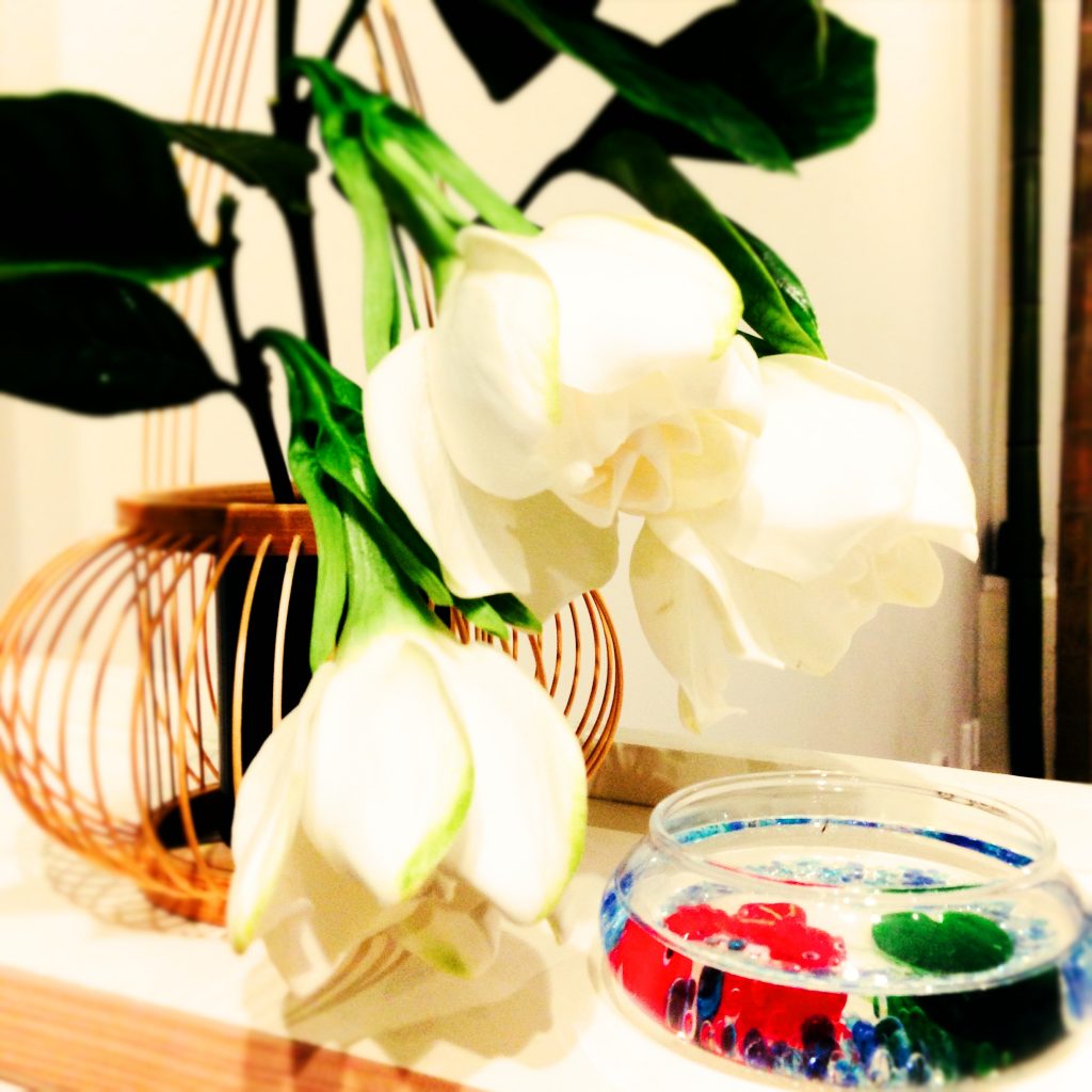 写真2