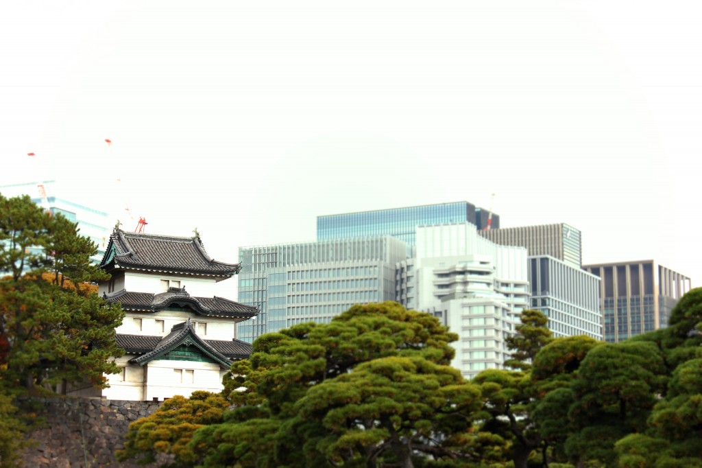 皇居8