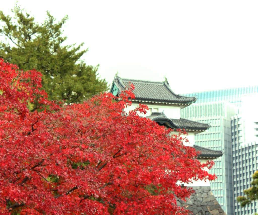 皇居9
