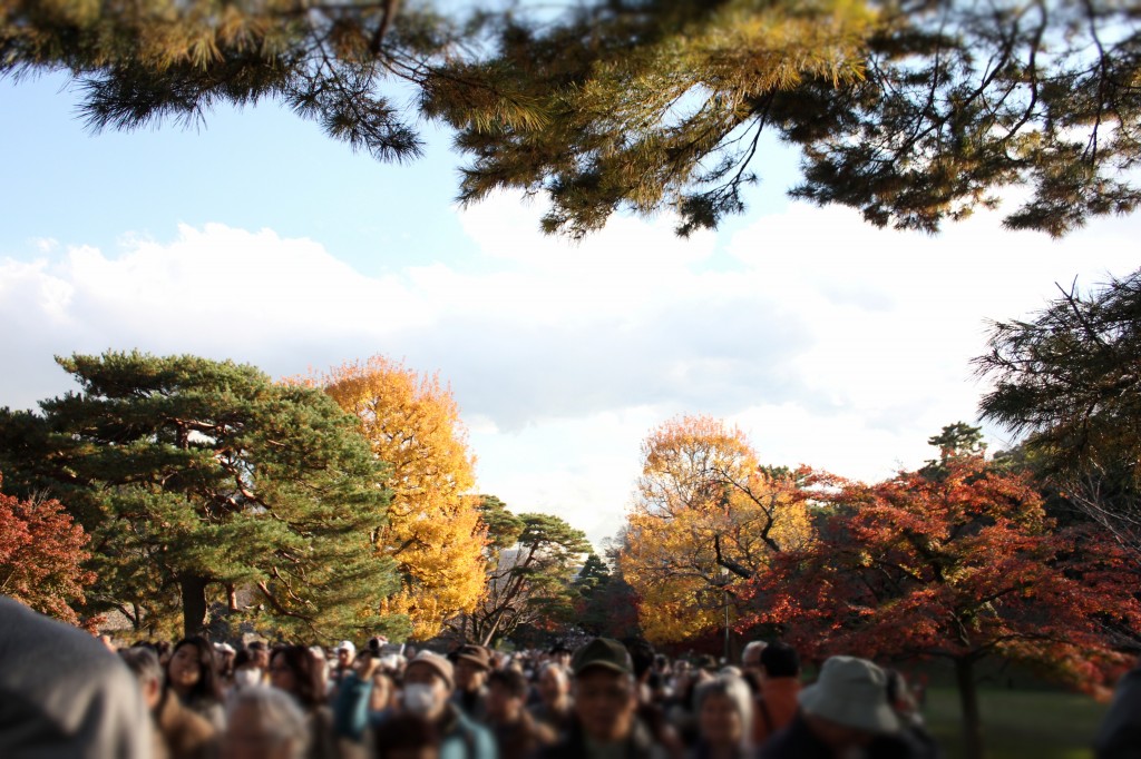 紅葉1