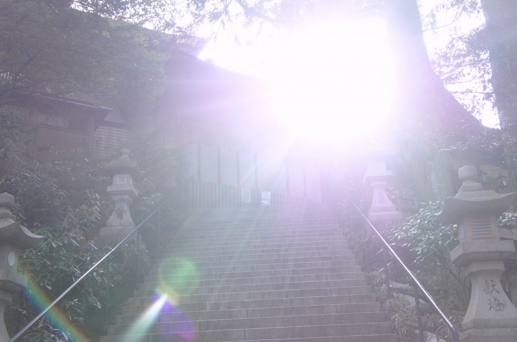 SONY DSC