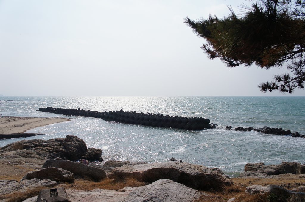 SONY DSC
