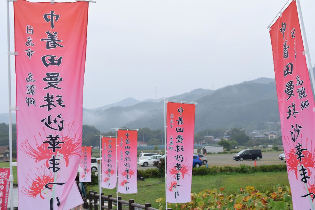 巾着田
