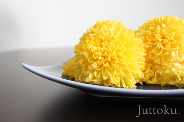 長陽の節句_菊