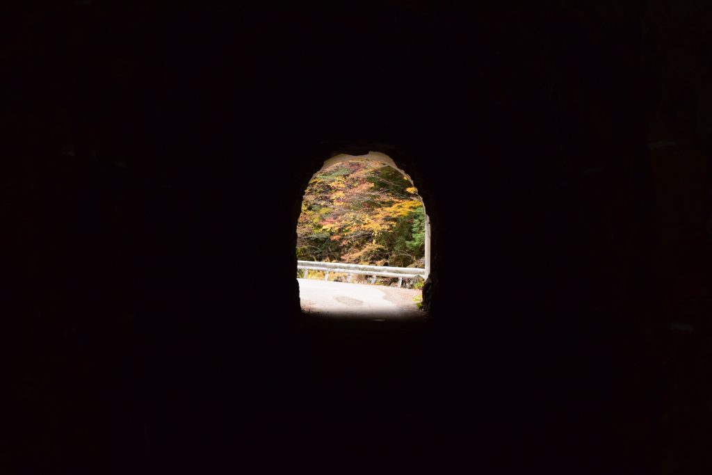 DSC_0339