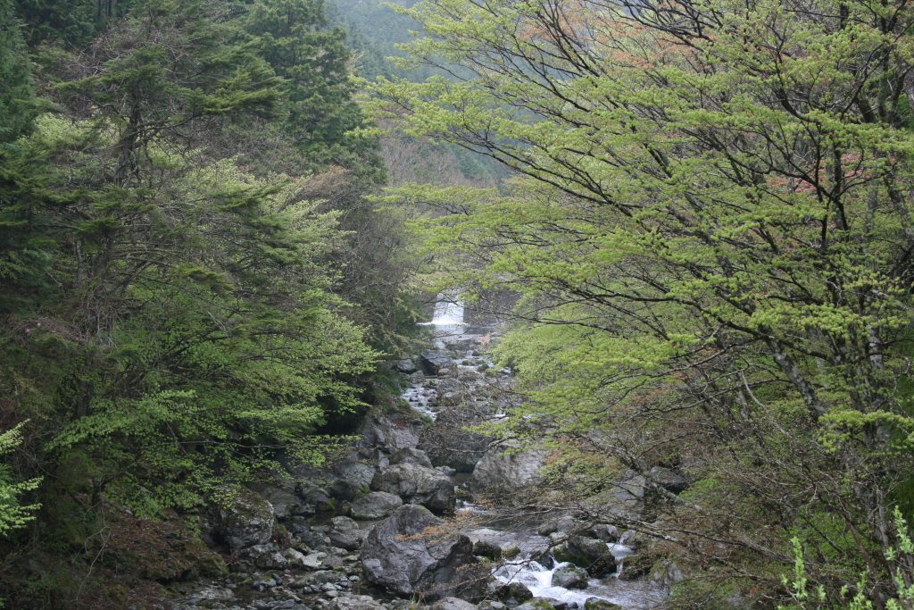 天川村２