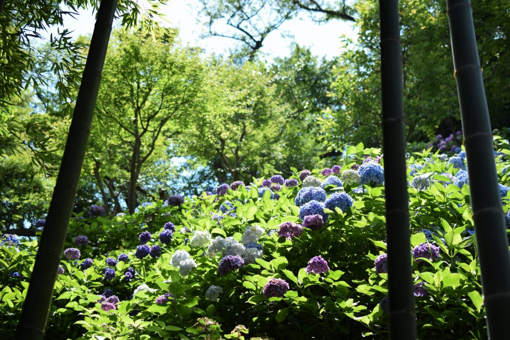 DSC_0937