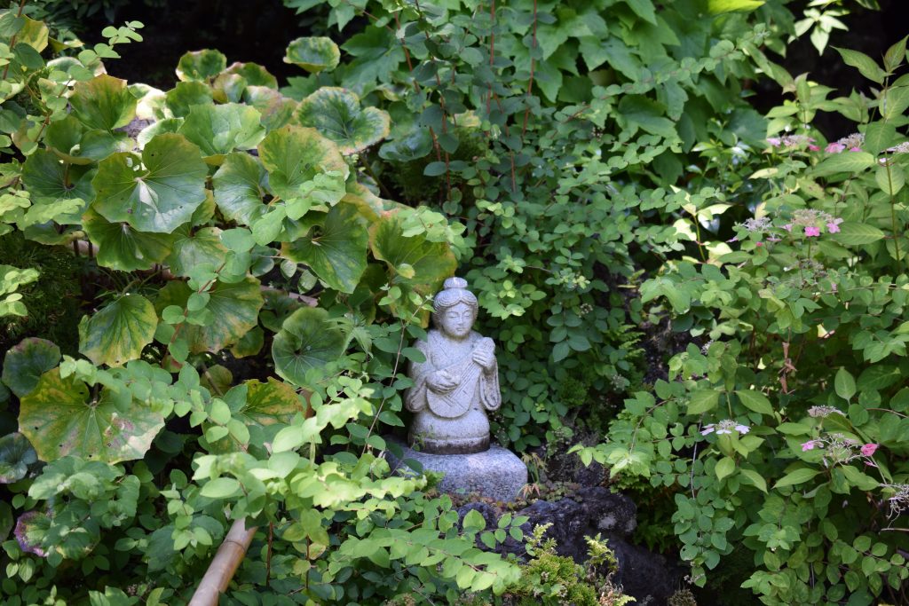 DSC_0955