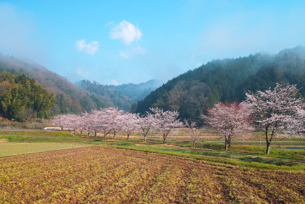 countryside_00155