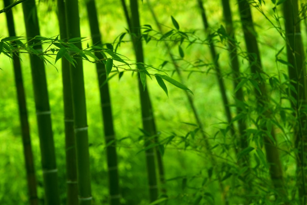 japanese-style_00014