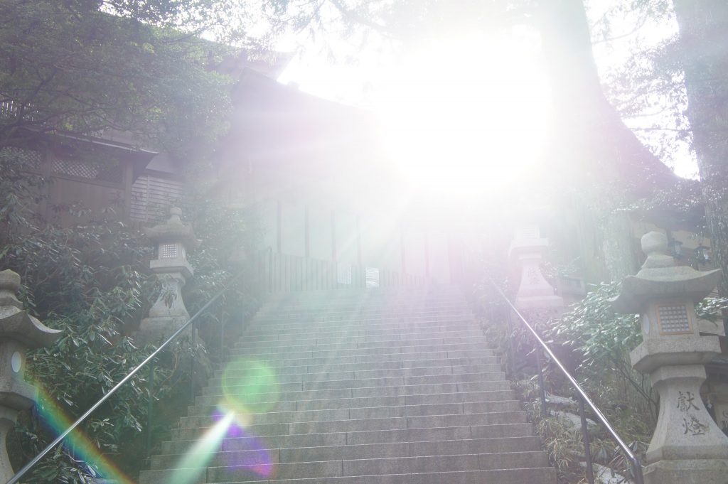 SONY DSC