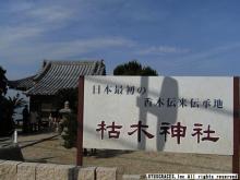 $白檀・沈香・伽羅　お香でもてなす生活。-枯木神社